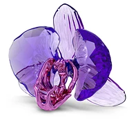 Idyllia SCS Orchid Petal by SWAROVSKI