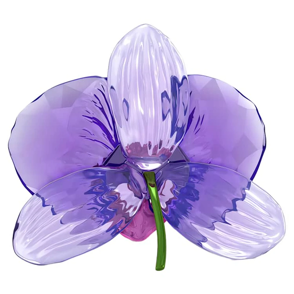 Idyllia SCS Orchid Petal by SWAROVSKI