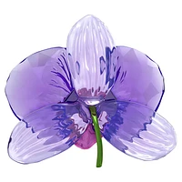 Idyllia SCS Orchid Petal by SWAROVSKI