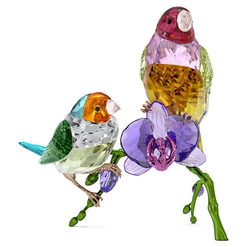 Idyllia SCS Annual Edition 2024 Gouldian Finches by SWAROVSKI