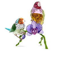 Idyllia SCS Annual Edition 2024 Gouldian Finches by SWAROVSKI