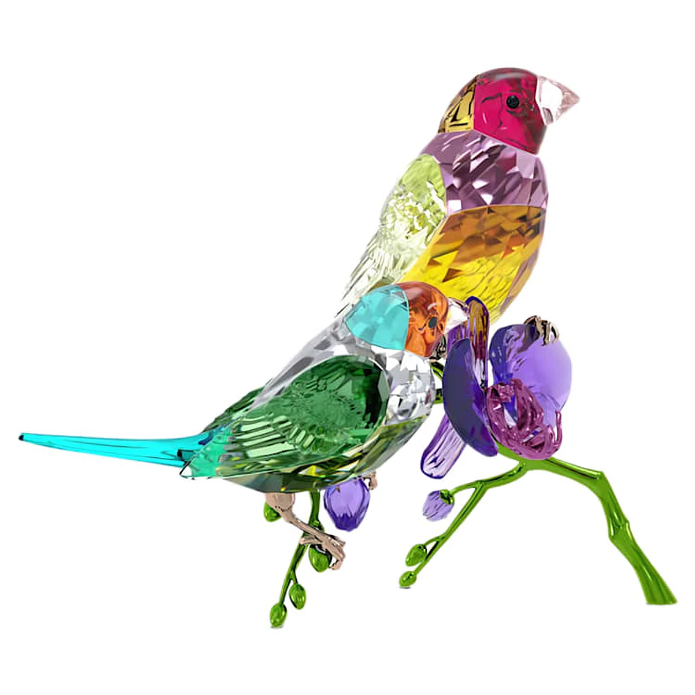 Idyllia SCS Annual Edition 2024 Gouldian Finches by SWAROVSKI