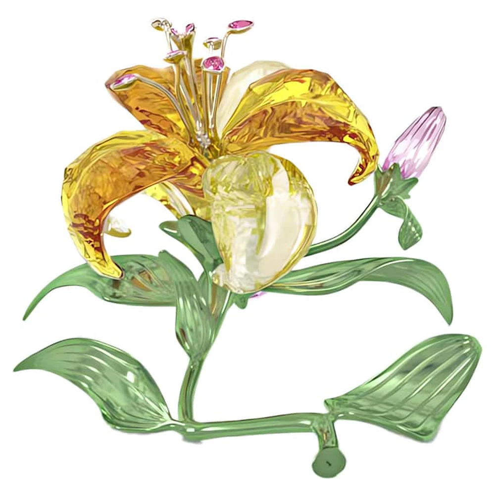 Florere Lily, Large by SWAROVSKI