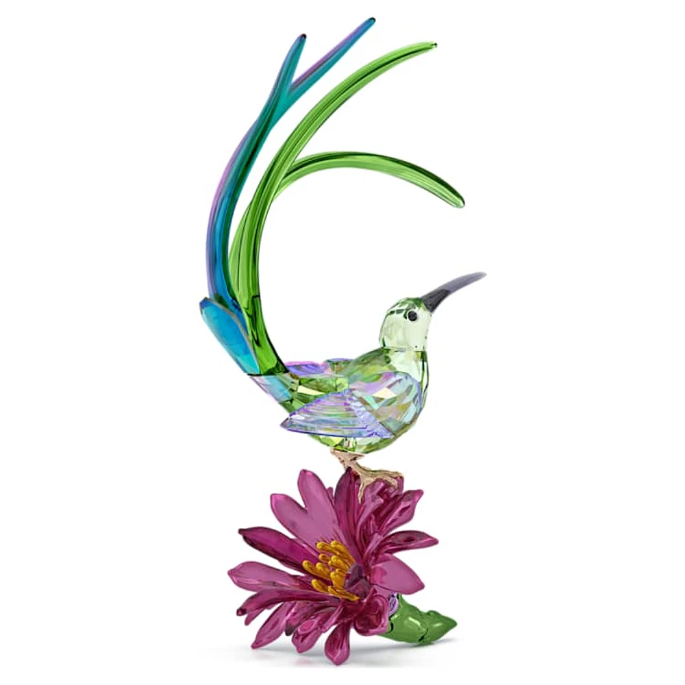 Idyllia Sugarbird and Cactus Flower by SWAROVSKI