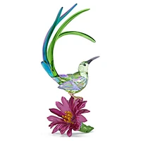 Idyllia Sugarbird and Cactus Flower by SWAROVSKI