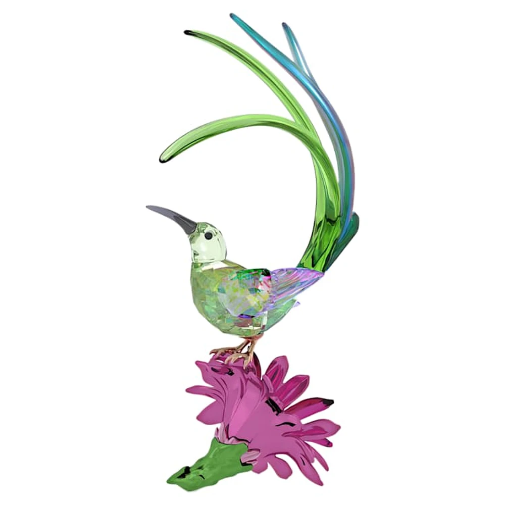 Idyllia Sugarbird and Cactus Flower by SWAROVSKI