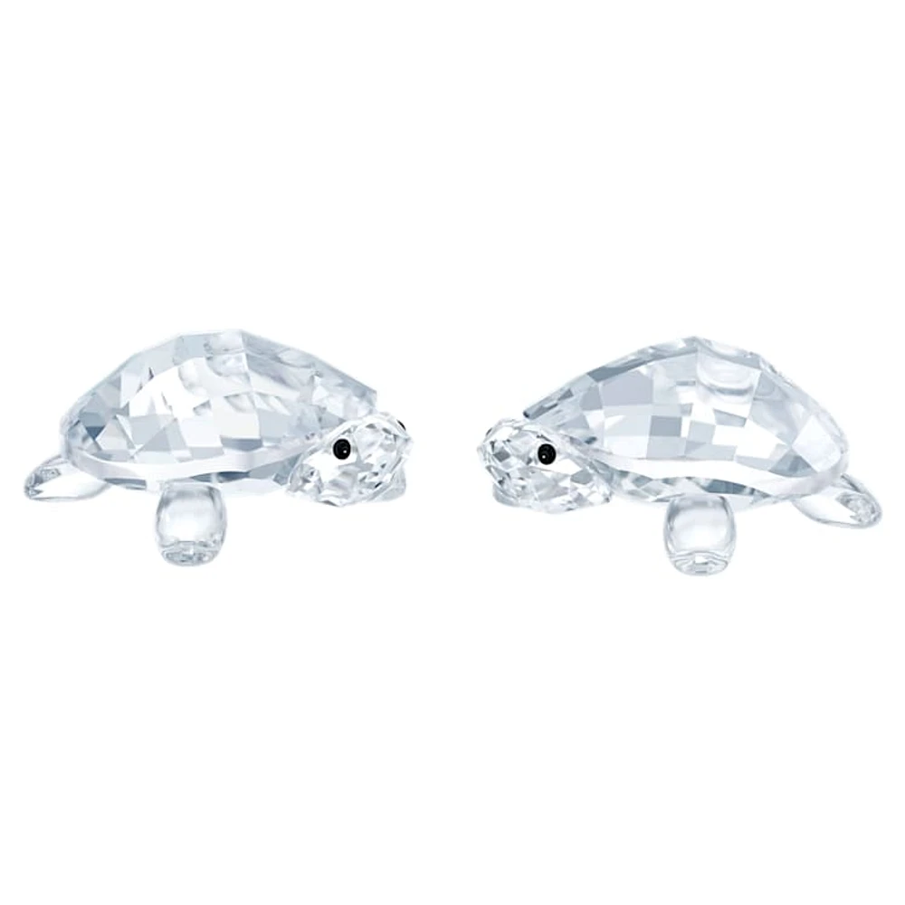 Peaceful Countryside Baby Tortoises by SWAROVSKI