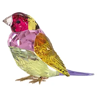 Idyllia SCS Gouldian Finch