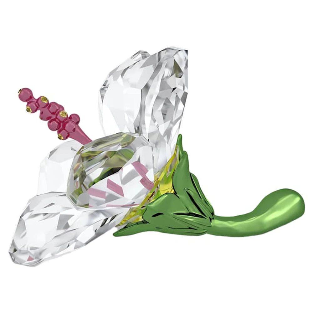 Florere Hibiscus, Small by SWAROVSKI