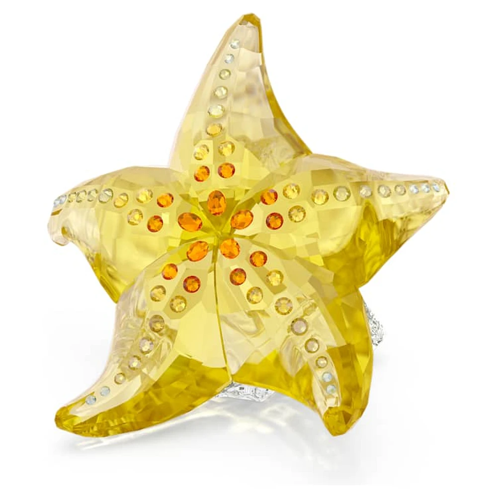 Idyllia SCS Starfish by SWAROVSKI