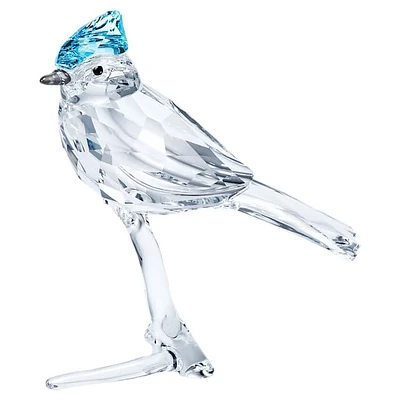 Feathered Beauties Blue Jay by SWAROVSKI