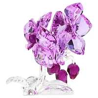 Crystal Flowers Orchid by SWAROVSKI