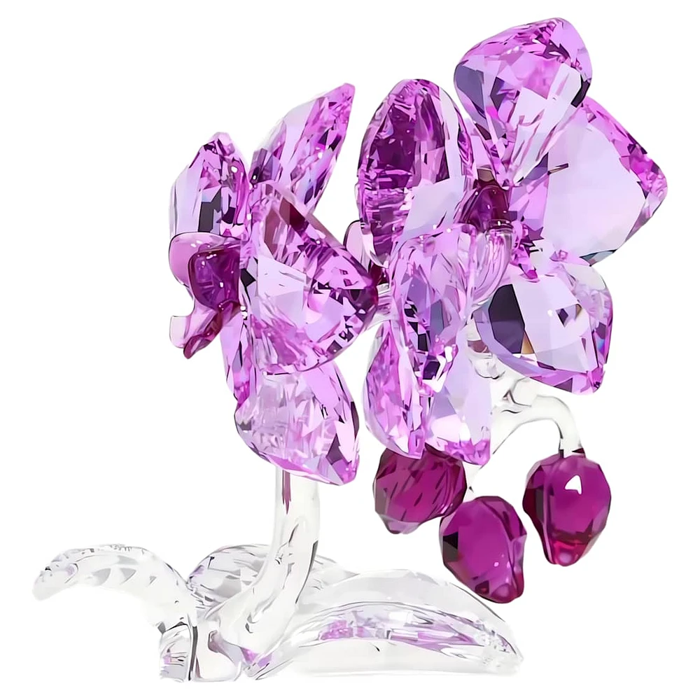 Crystal Flowers Orchid by SWAROVSKI
