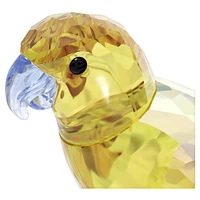 Jungle Beats Yellow Parakeet Lechee by SWAROVSKI