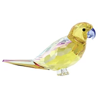 Jungle Beats Yellow Parakeet Lechee by SWAROVSKI