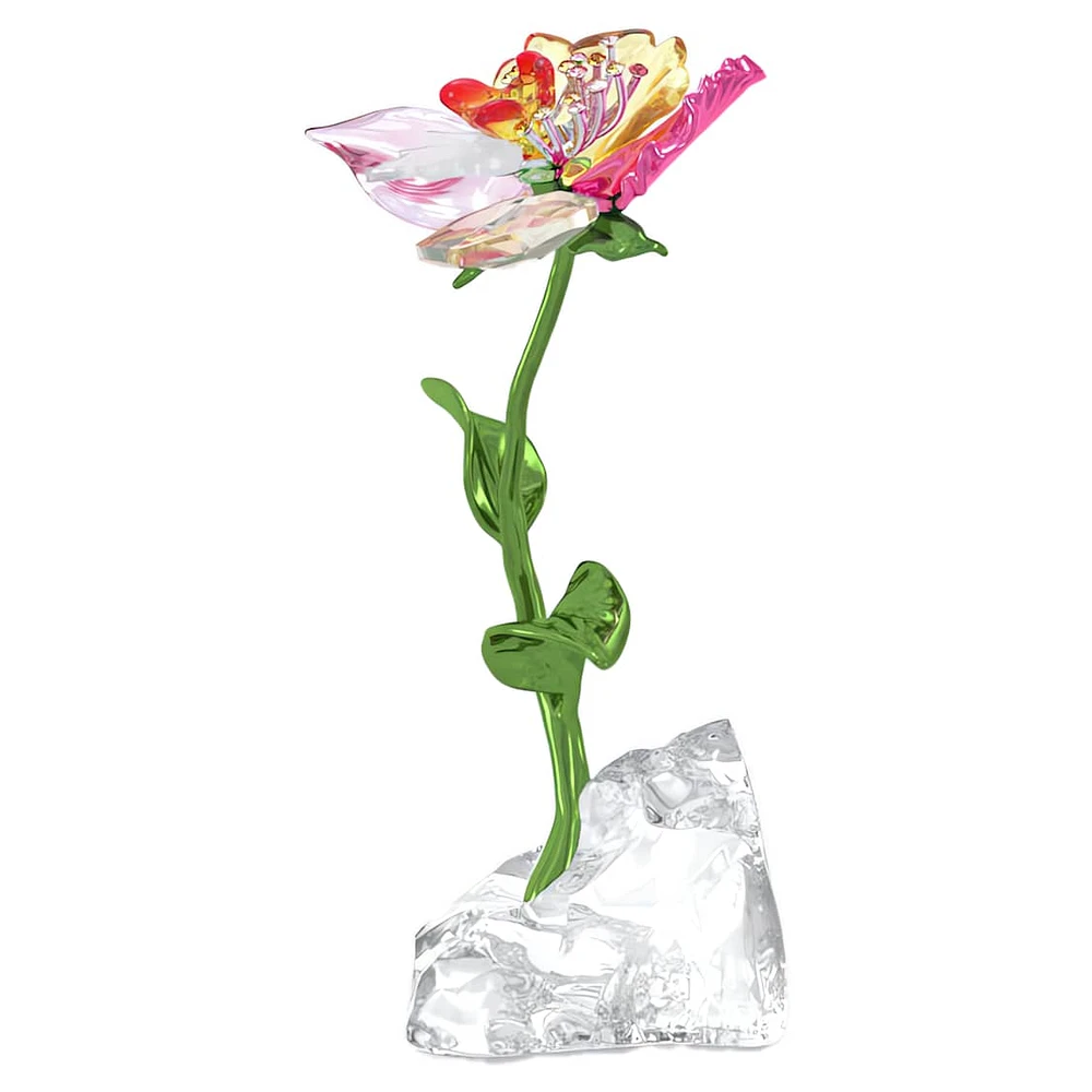 Idyllia Flower, Small by SWAROVSKI