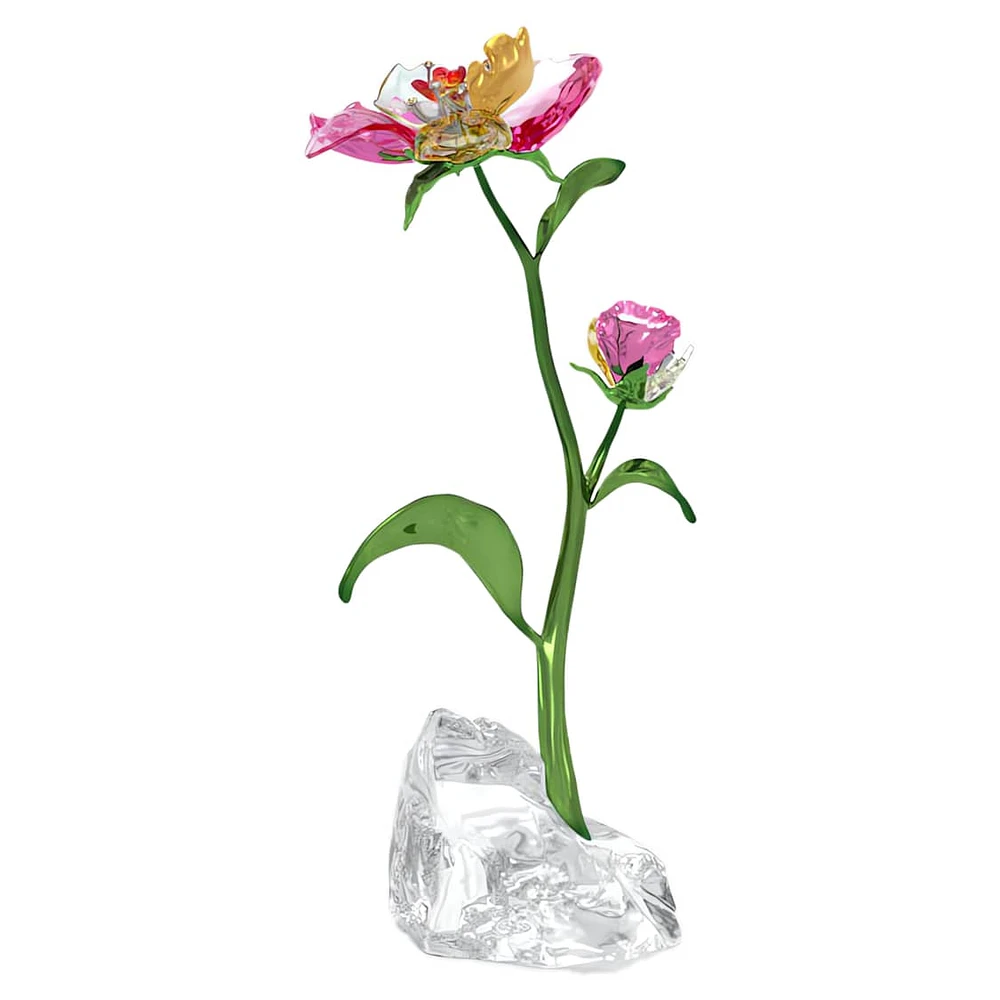 Idyllia Flower, Large by SWAROVSKI