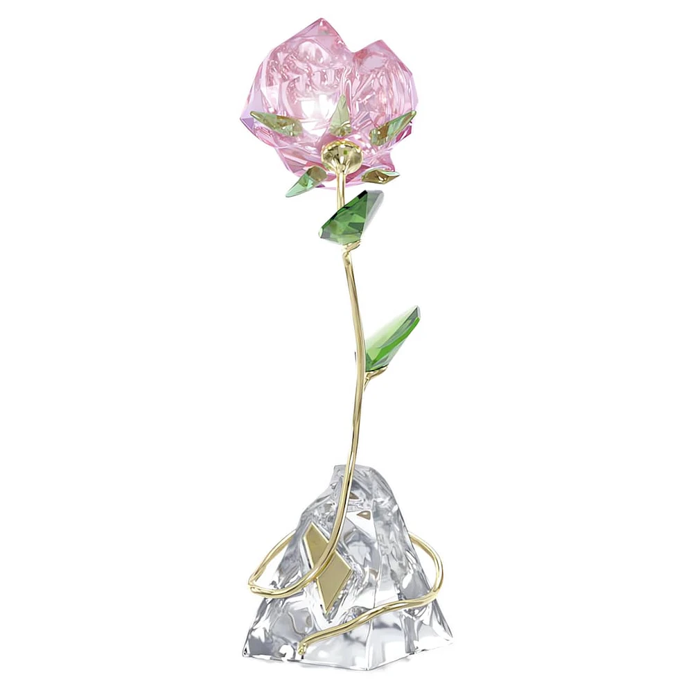 Florere Rose by SWAROVSKI