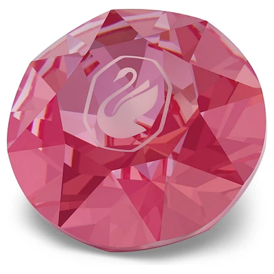 Exclusive chaton, Swan, Pink by SWAROVSKI