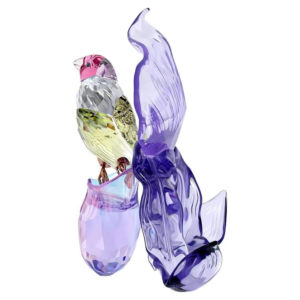 Idyllia Gouldian Finch and Orchid by SWAROVSKI