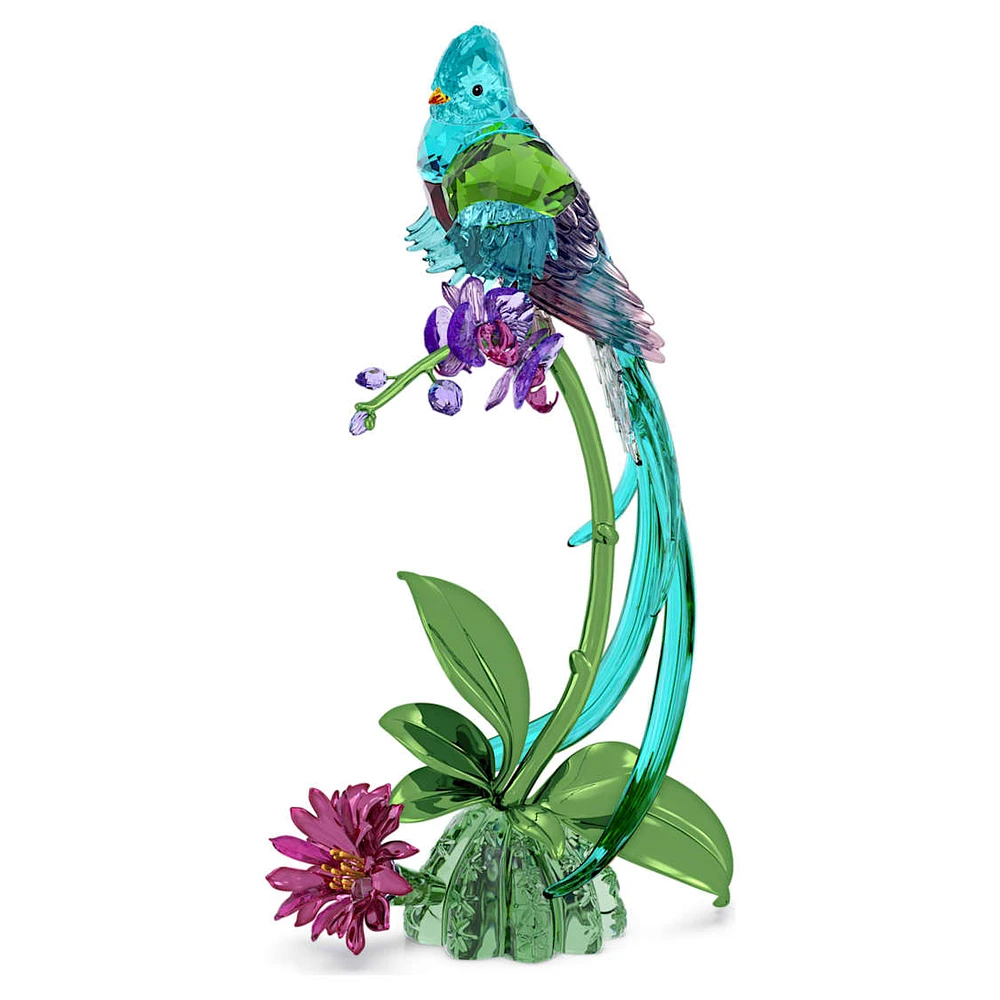 Idyllia Quetzal and Orchid by SWAROVSKI
