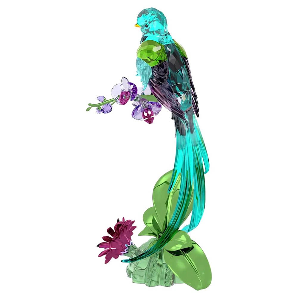 Idyllia Quetzal and Orchid by SWAROVSKI