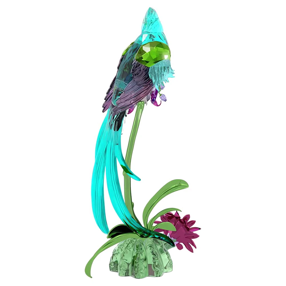 Idyllia Quetzal and Orchid by SWAROVSKI