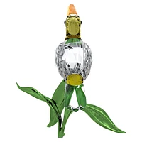 Idyllia Toucan by SWAROVSKI