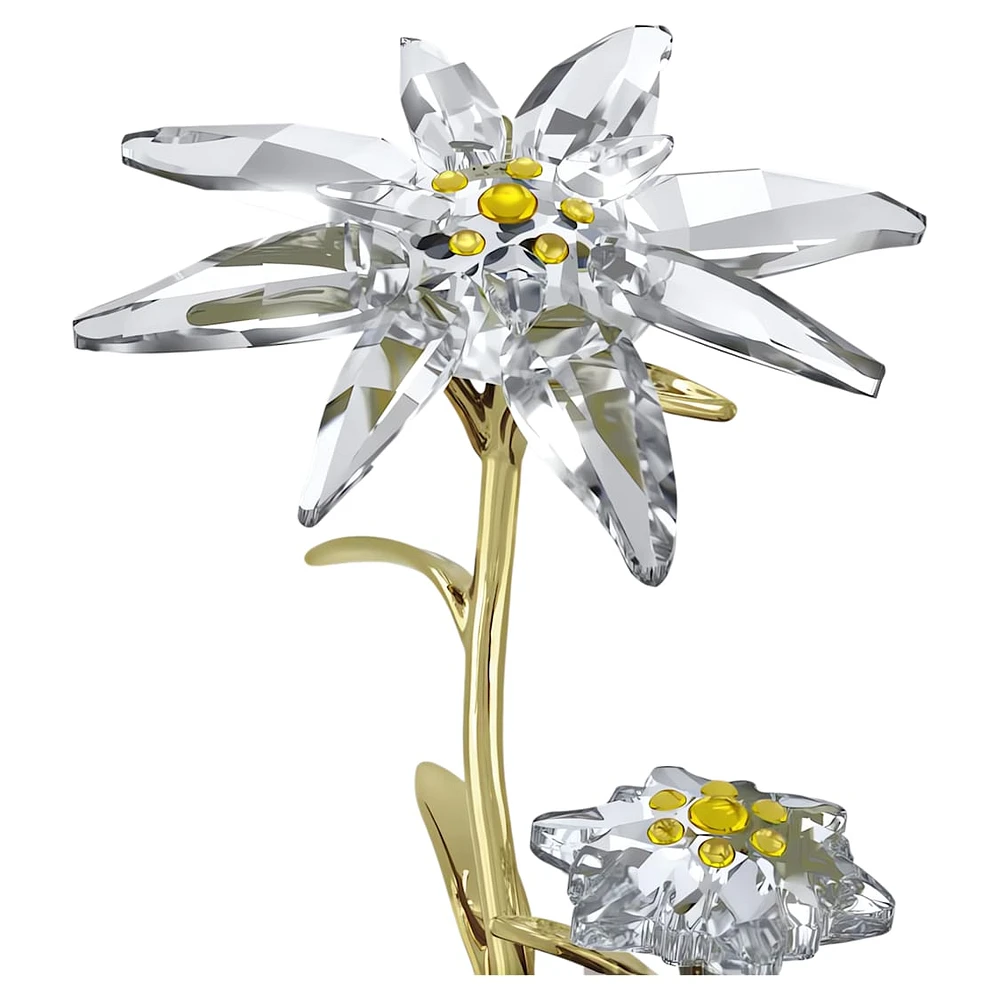Florere 130th Anniversary Bell Jar by SWAROVSKI