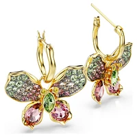 Idyllia drop earrings, Mixed cuts, Pavé, Butterfly, Multicolored, Gold-tone plated by SWAROVSKI