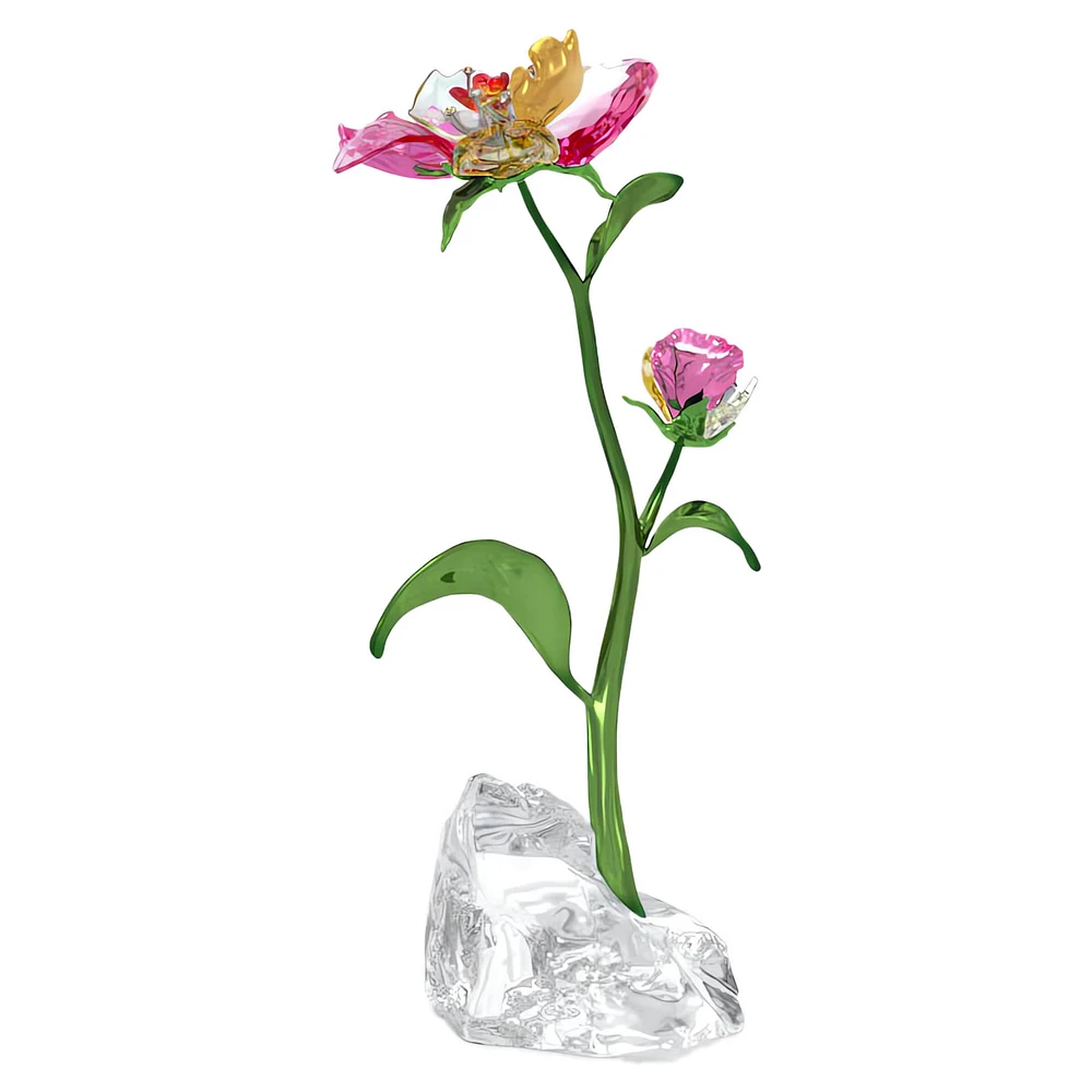 Idyllia Flower, Large by SWAROVSKI