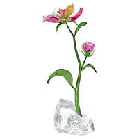 Idyllia Flower, Large by SWAROVSKI