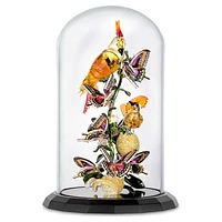 Idyllia Birds and Butterflies Bell Jar by SWAROVSKI