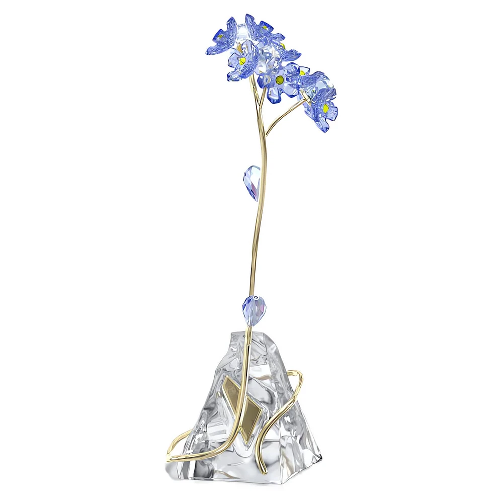 Florere Forget-me-not by SWAROVSKI
