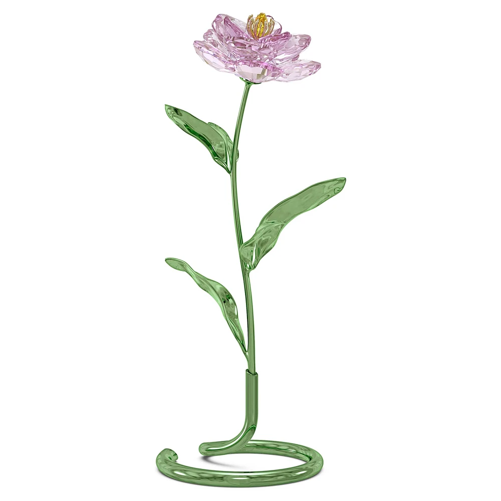 Florere Peony by SWAROVSKI