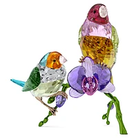 Idyllia SCS Annual Edition 2024 Gouldian Finches by SWAROVSKI