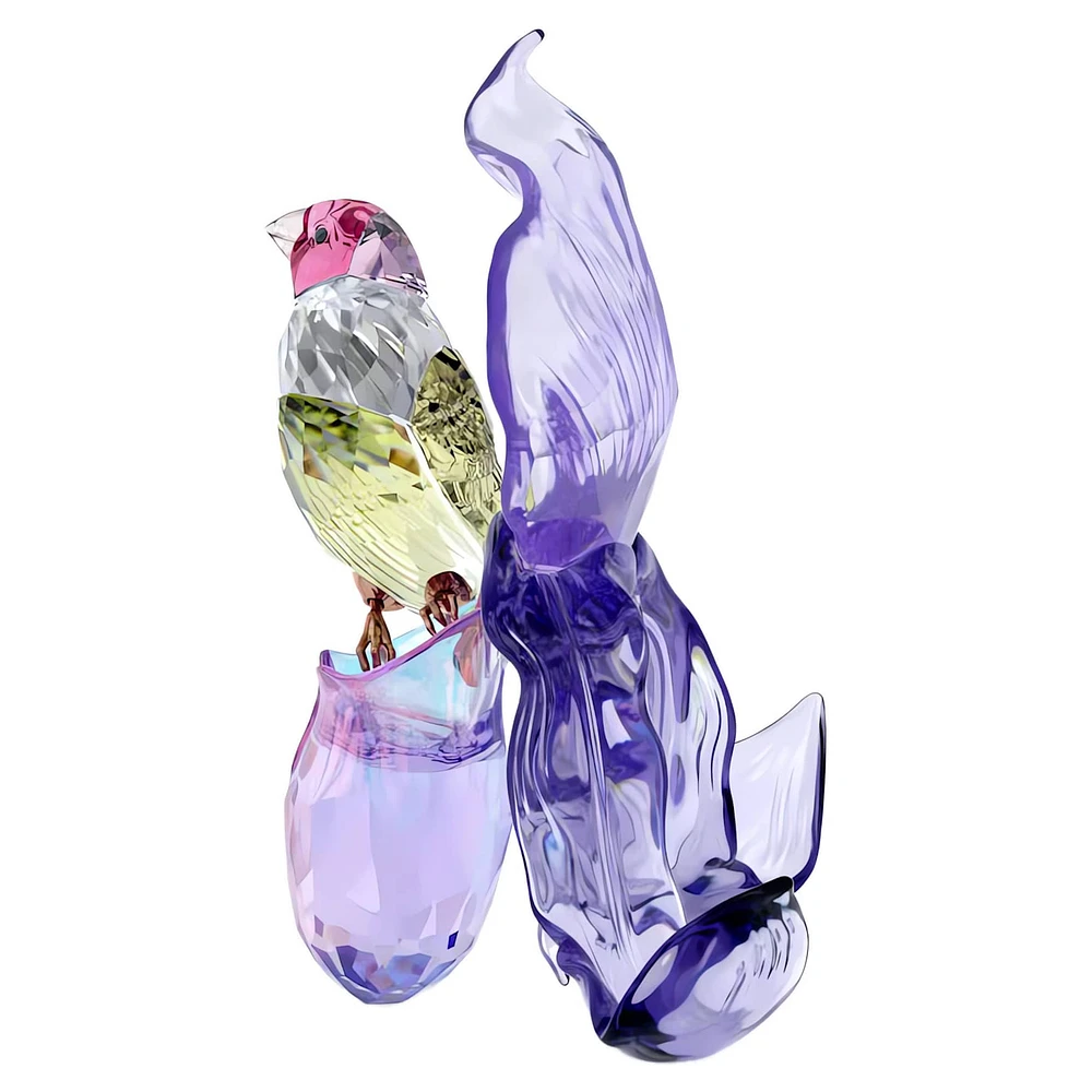 Idyllia Gouldian Finch and Orchid by SWAROVSKI