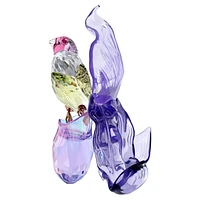 Idyllia Gouldian Finch and Orchid by SWAROVSKI