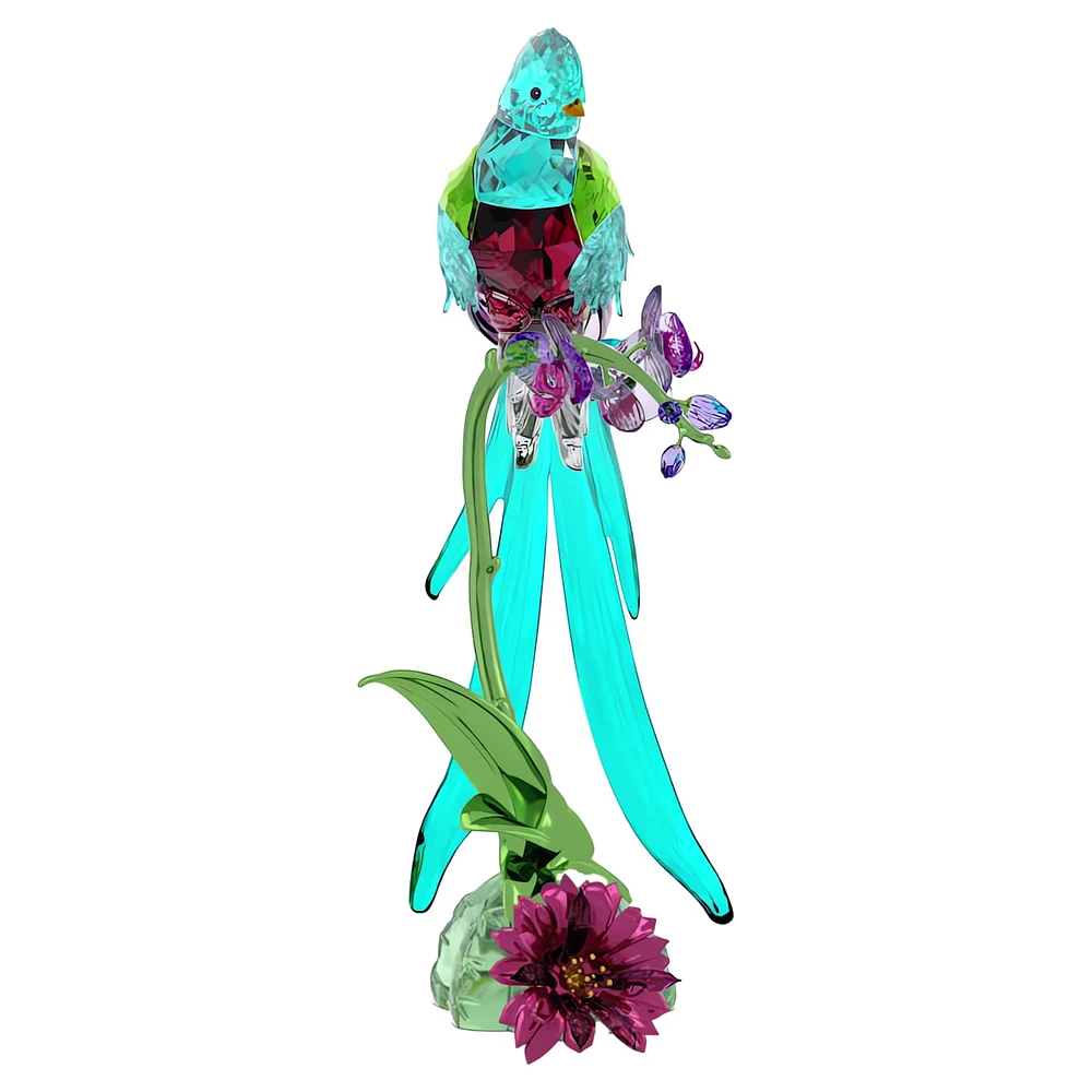 Idyllia Quetzal and Orchid by SWAROVSKI