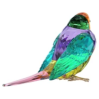 Idyllia SCS Gouldian Finch, Small by SWAROVSKI
