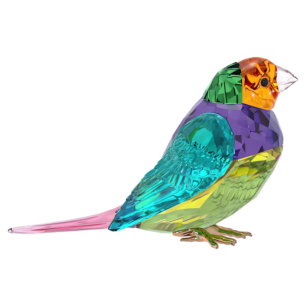 Idyllia SCS Gouldian Finch, Small by SWAROVSKI