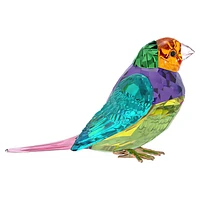 Idyllia SCS Gouldian Finch, Small by SWAROVSKI
