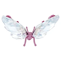 Idyllia Butterfly, Small by SWAROVSKI