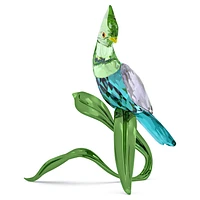 Idyllia Green Turaco by SWAROVSKI