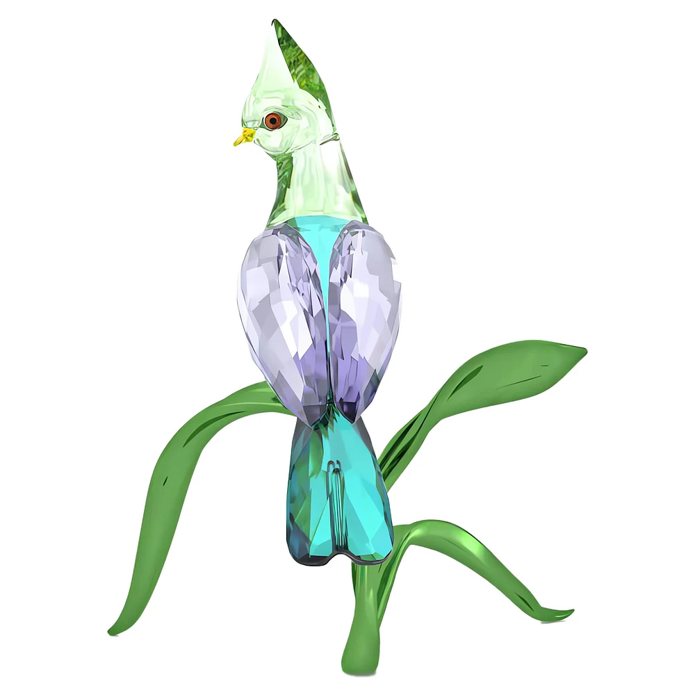 Idyllia Green Turaco by SWAROVSKI