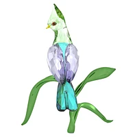 Idyllia Green Turaco by SWAROVSKI