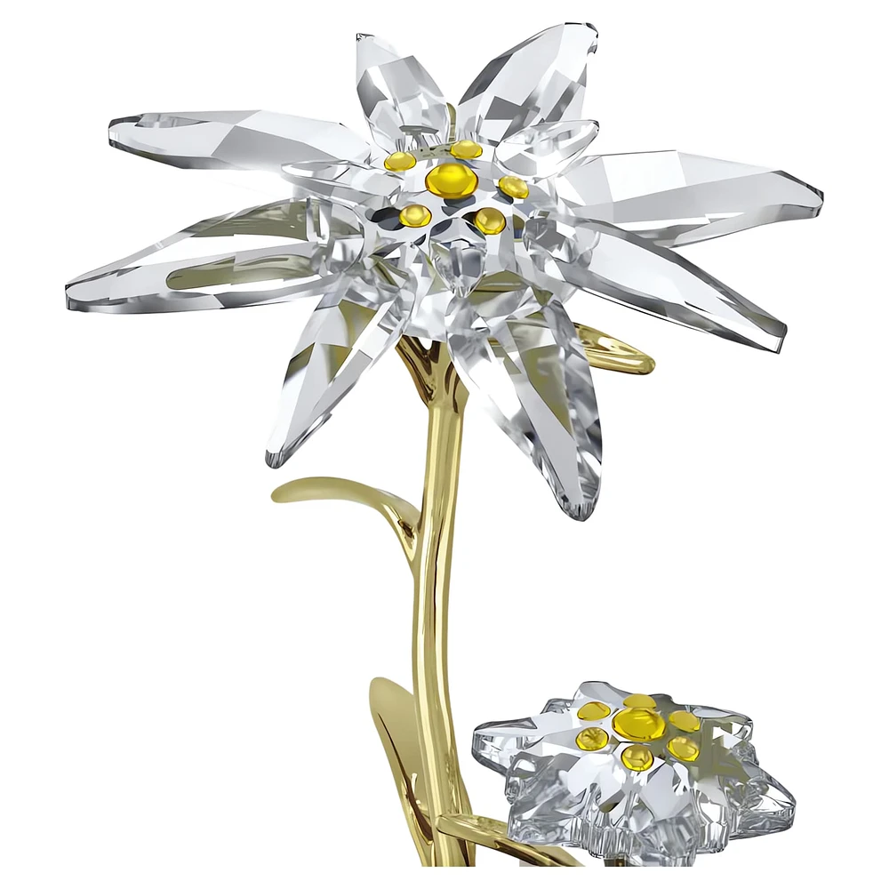 Florere 130th Anniversary Bell Jar by SWAROVSKI