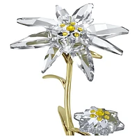 Florere 130th Anniversary Bell Jar by SWAROVSKI