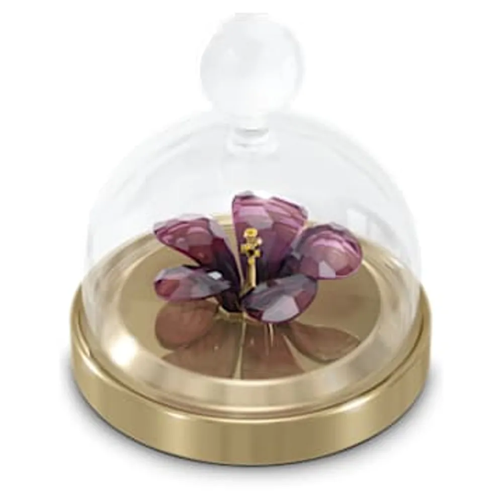 Garden Tales Hibiscus Bell Jar, Small by SWAROVSKI
