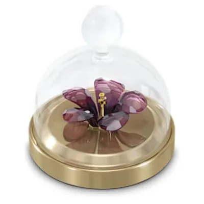 Garden Tales Hibiscus Bell Jar, Small by SWAROVSKI
